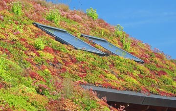 Llanhamlach living roof systems